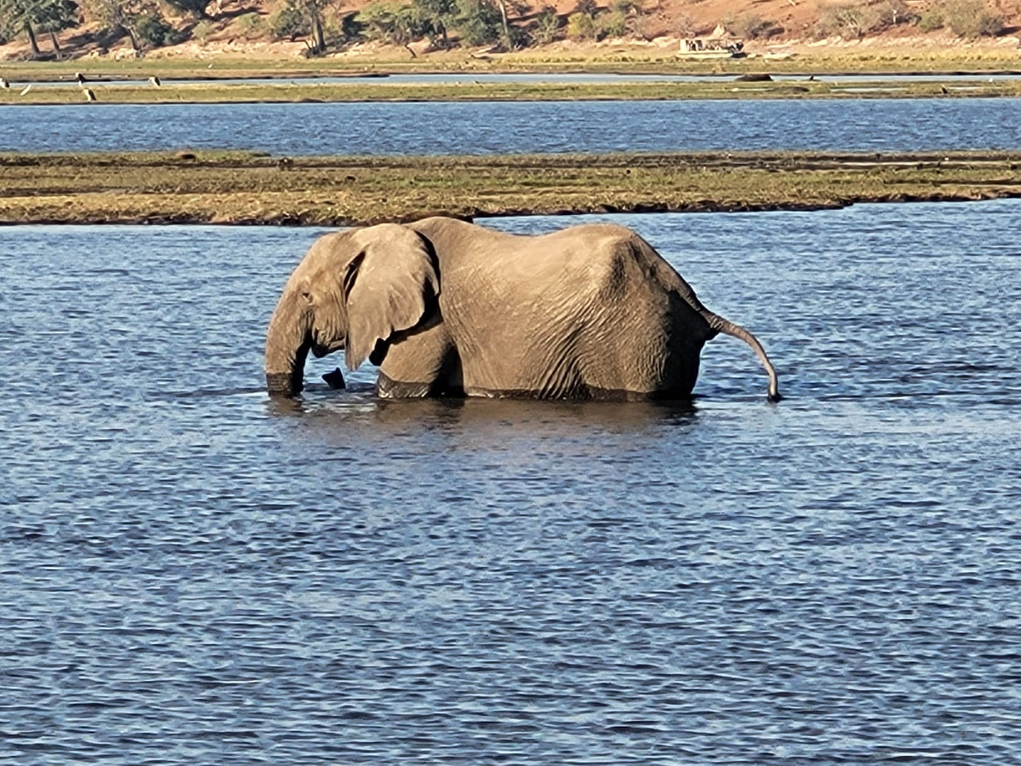 Botswana or South Africa Safari - 8 day, 4WD overland wildlife tour.