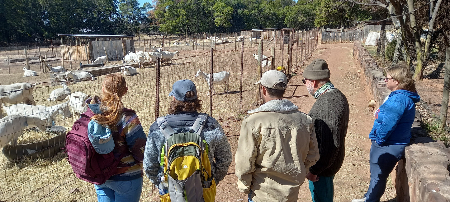 South African Boer Goat Farms and Kruger Park Tour.