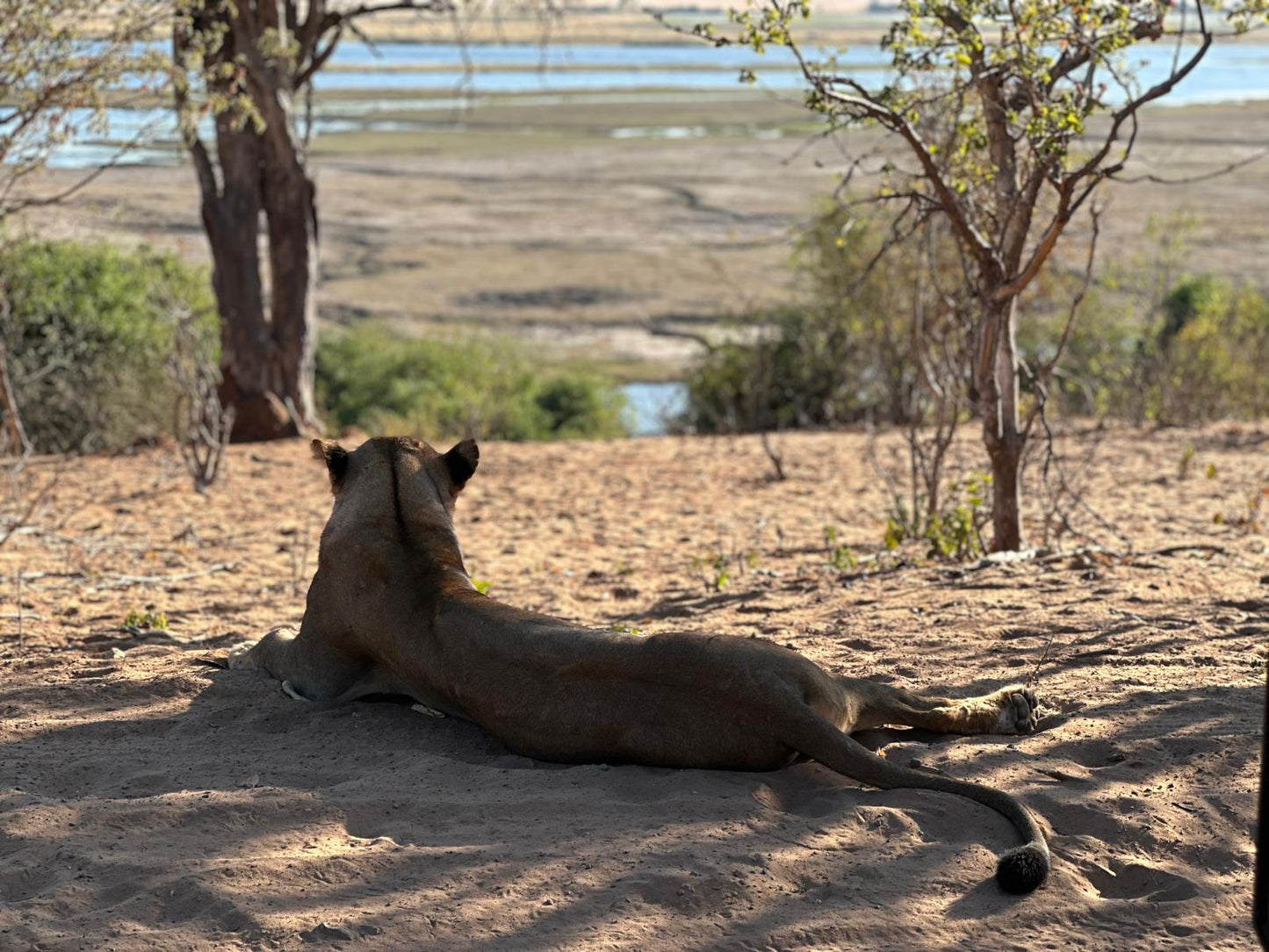 Botswana or South Africa Safari - 8 day, 4WD overland wildlife tour.