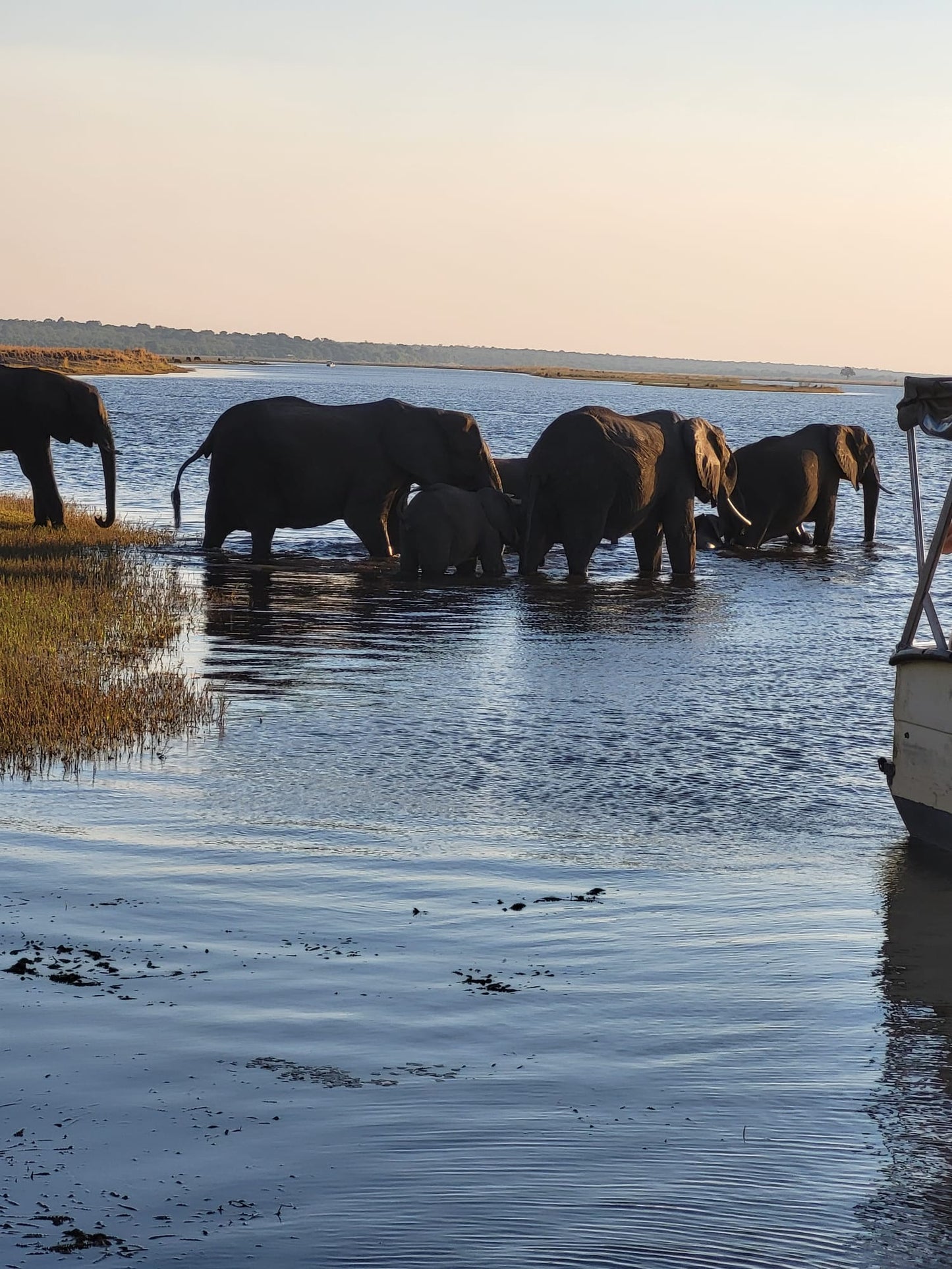 Botswana or South Africa Safari - 8 day, 4WD overland wildlife tour.