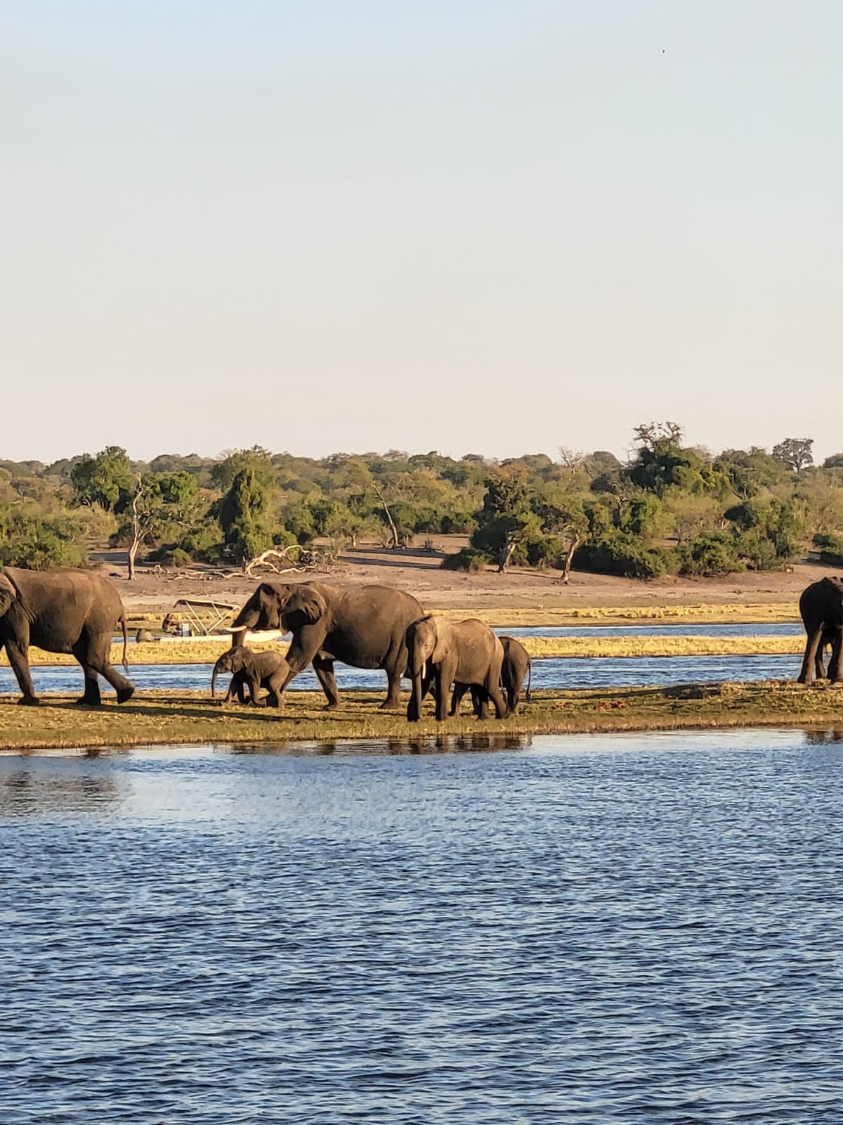 Botswana or South Africa Safari - 8 day, 4WD overland wildlife tour.