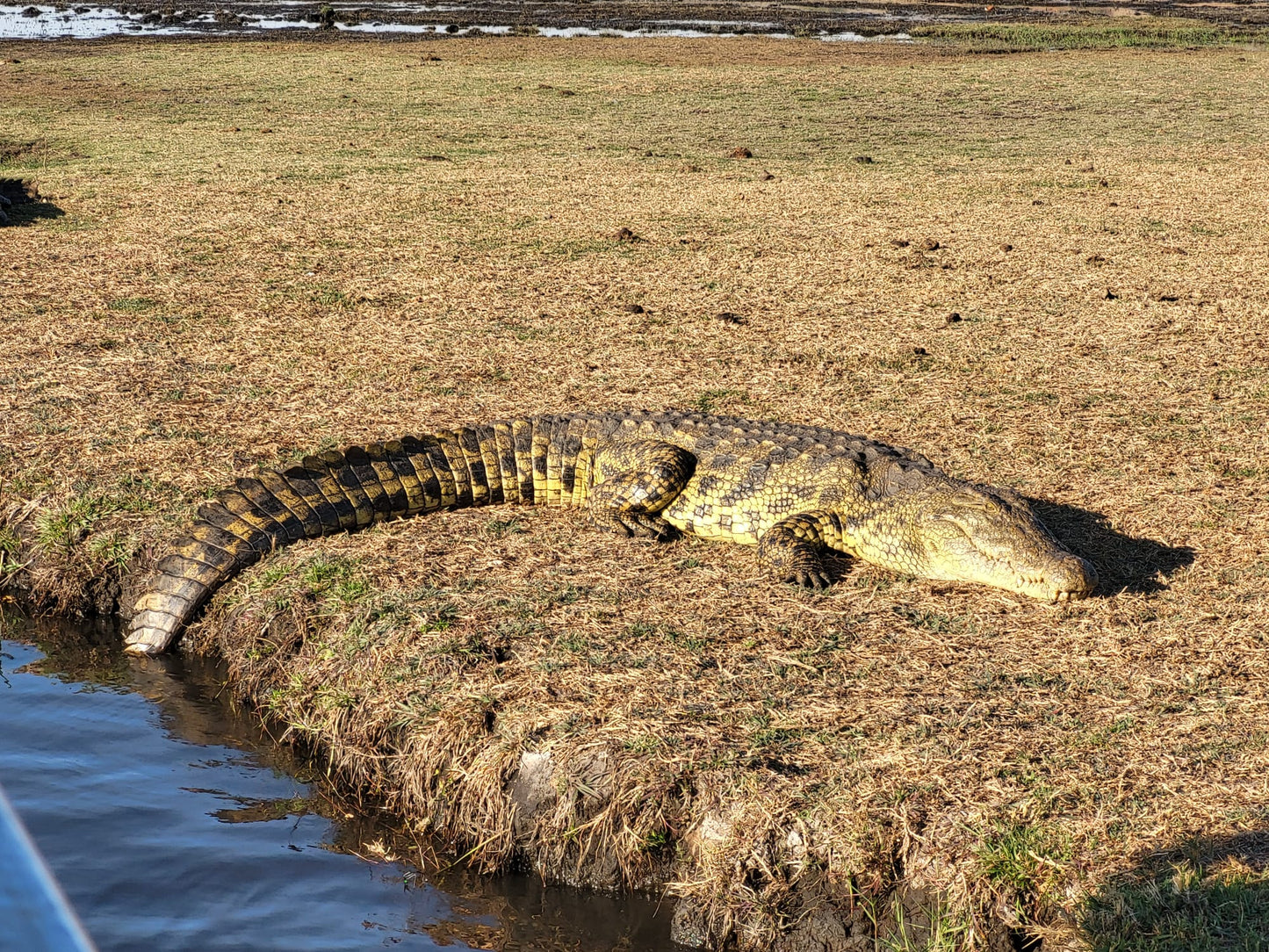 Botswana or South Africa Safari - 8 day, 4WD overland wildlife tour.